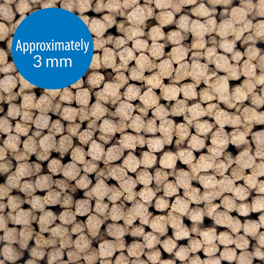 API Bottom Feeder Pellets with Squid, 1.3 OZ